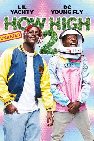 How High 2 Poster