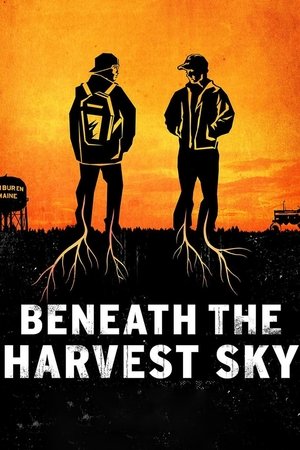Beneath the Harvest Sky Poster