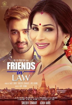 Friends in Law Poster