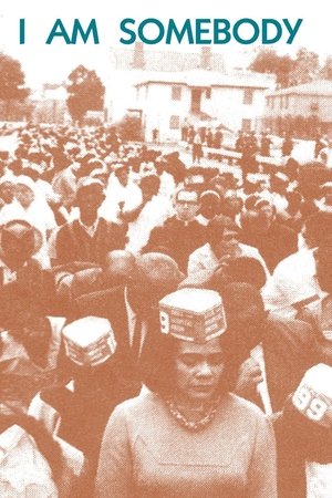 I Am Somebody Poster