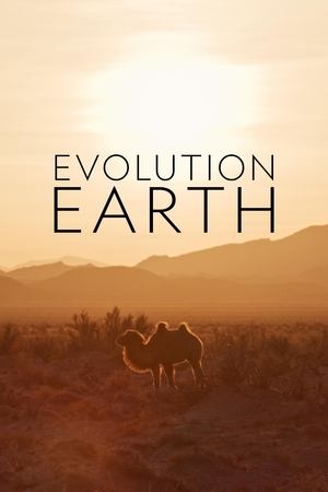 Evolution Earth Poster