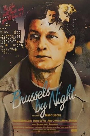 Brussels by Night Poster