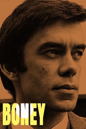 Boney Poster