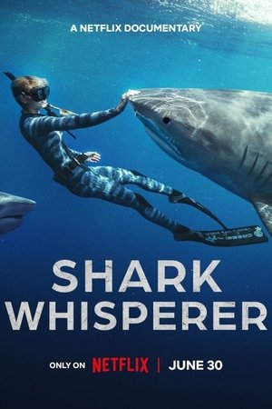 Shark Whisperer Poster