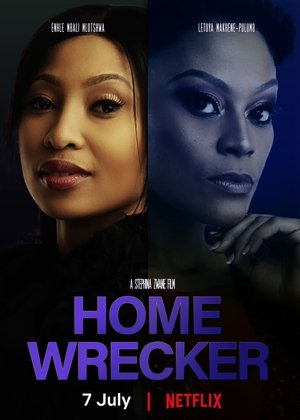 Home Wrecker Poster