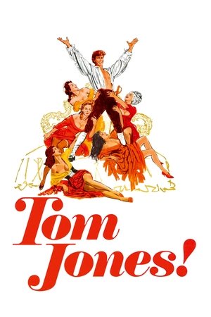 Tom Jones Poster