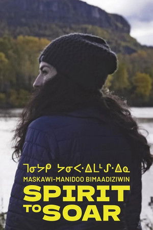 Spirit to Soar Poster