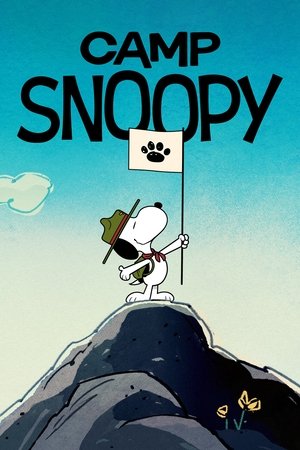 Camp Snoopy Poster