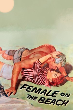 Female on the Beach Poster