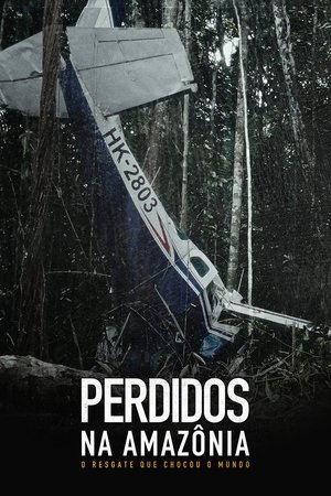 Lost in the Amazon: The Rescue That Shocked the World Poster