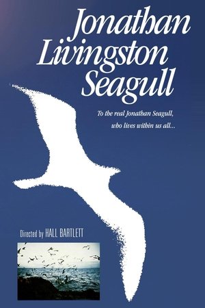 Jonathan Livingston Seagull Poster