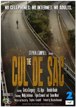 The Cul De Sac Poster