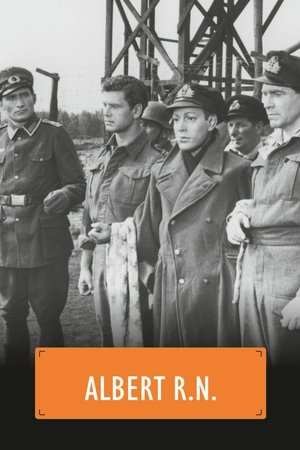 Albert R.N. Poster