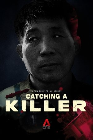 Catching a Killer: The Hwaseong Murders Poster