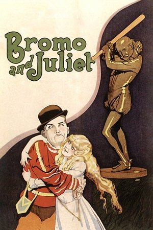 Bromo and Juliet Poster