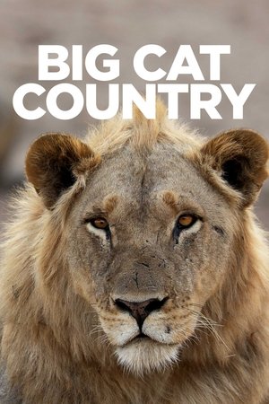 Big Cat Country Poster
