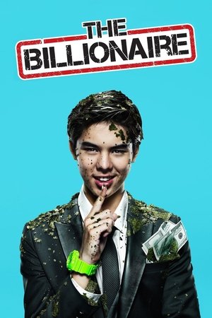 The Billionaire Poster