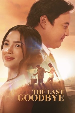 The Last Goodbye Poster