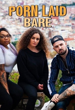 Porn Laid Bare Poster