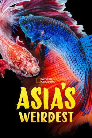Asia's Weirdest Poster