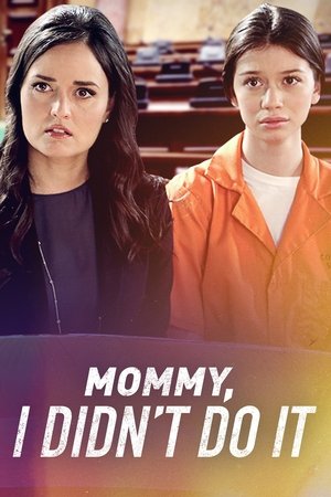 Mommy I Didn't Do It Poster