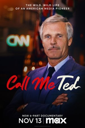 Call Me Ted Poster