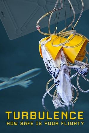 Turbulence: How Safe Is Your Flight? Poster