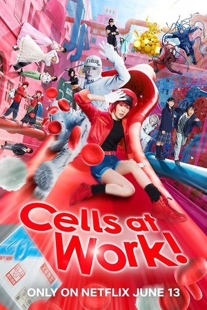 Cells at Work! Poster