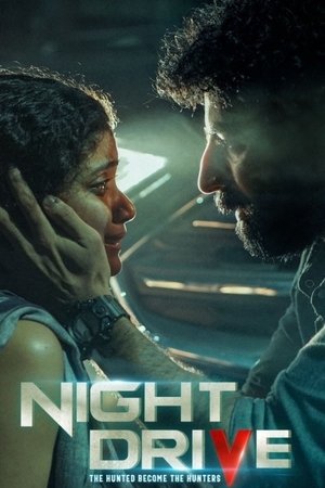 Night Drive Poster