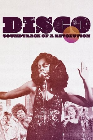 Disco: Soundtrack of a Revolution Poster