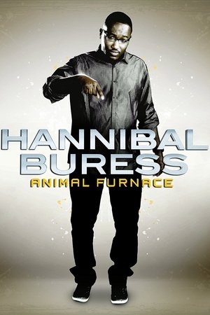 Hannibal Buress: Animal Furnace Poster