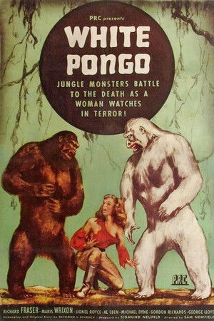 White Pongo Poster