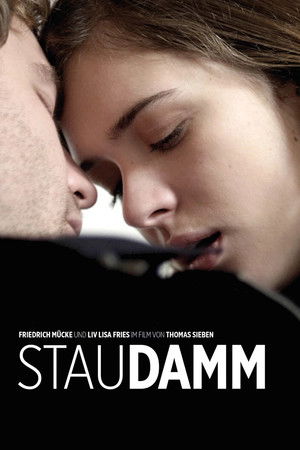 Staudamm Poster