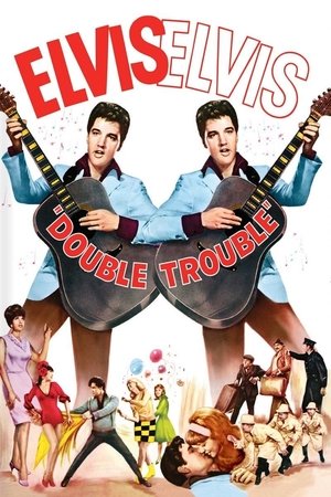 Double Trouble Poster