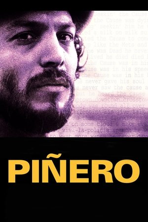 Pi&ntilde;ero Poster
