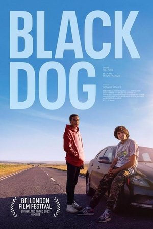 Black Dog Poster