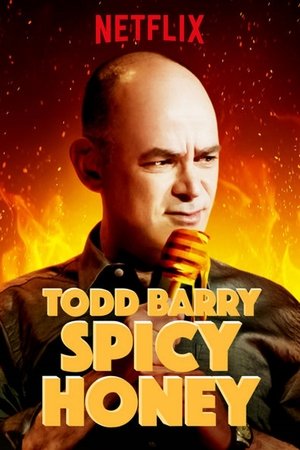 Todd Barry: Spicy Honey Poster