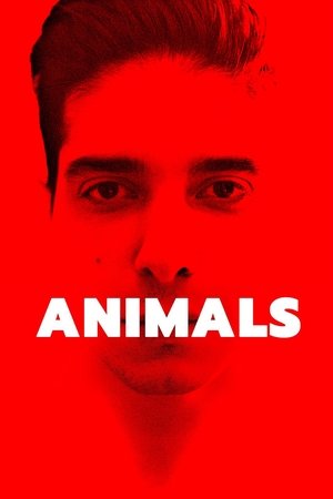 Animals Poster