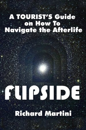 Flipside: A Journey into the Afterlife Poster