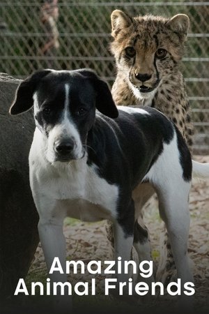 Amazing Animal Friends Poster