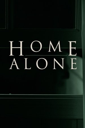 Home Alone Poster