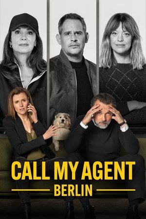 Call My Agent! - Berlin Poster