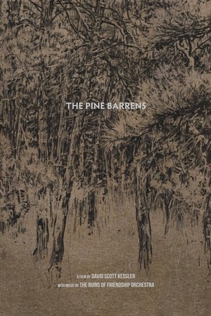 The Pine Barrens Poster