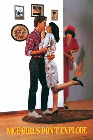 Nice Girls Don't Explode Poster