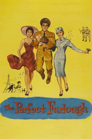 The Perfect Furlough Poster