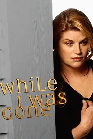 While I Was Gone Poster