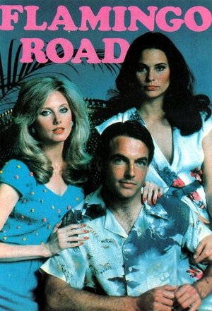 Flamingo Road Poster