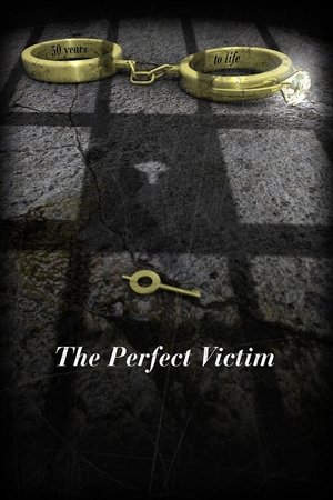 The Perfect Victim Poster