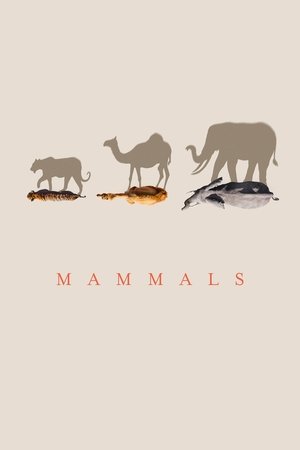 Mammals Poster