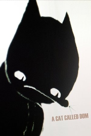 A Cat Called Dom Poster